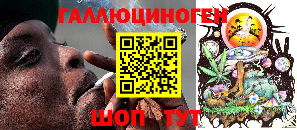 Псилоцибиновые грибы Psilocybine cubensis Котовск